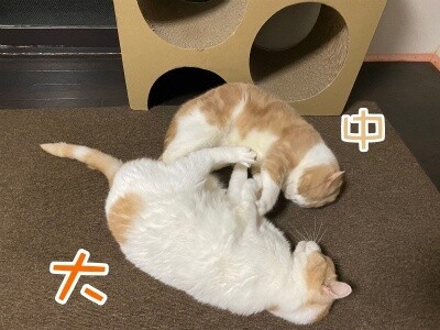 みんな2497