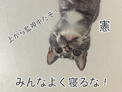 憲71