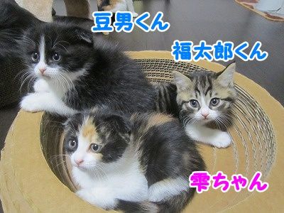 みんな (11)