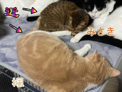 みんな1056
