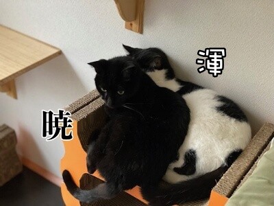 みんな2685