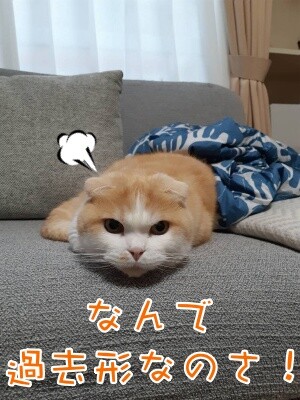 珠若696