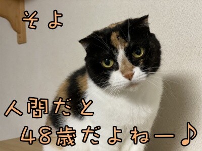 そよ176