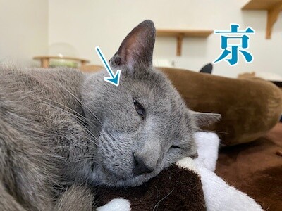 京644