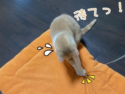 楓985