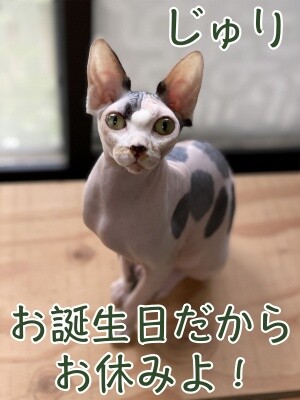 じゅり110