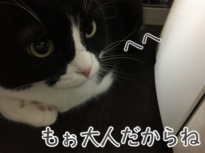 澪75