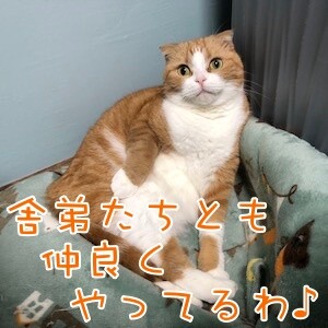 ベルビル187
