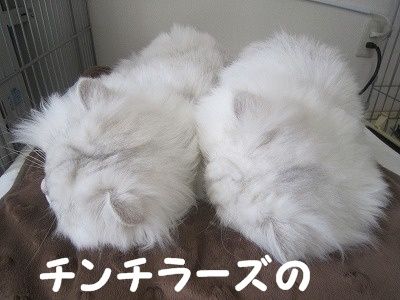 みんな (8)