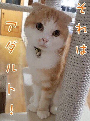 珠若697