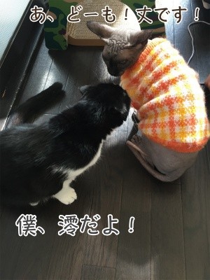 澪17