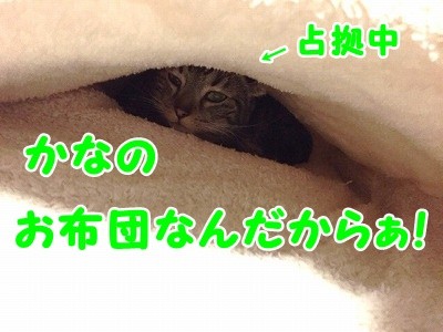 かな (31)