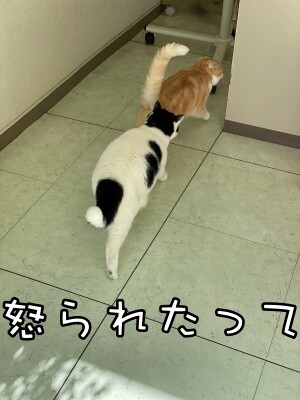 珠若708