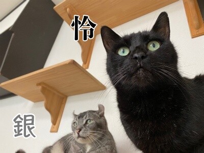 みんな2745