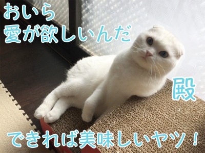 殿400