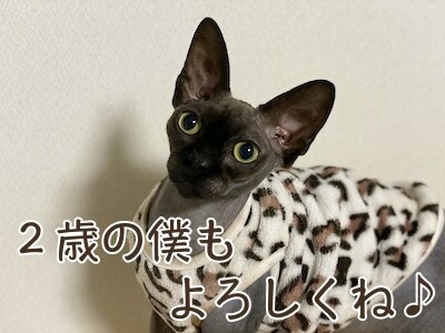 喜186