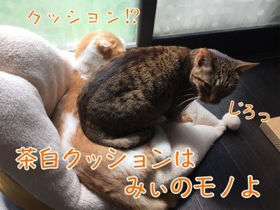 みんな917