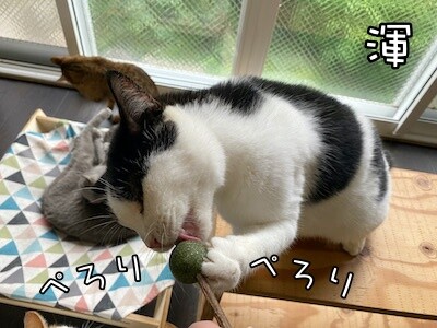 その他55
