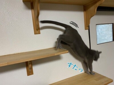 京507