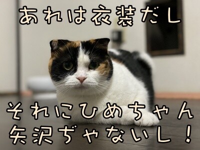 いよ344