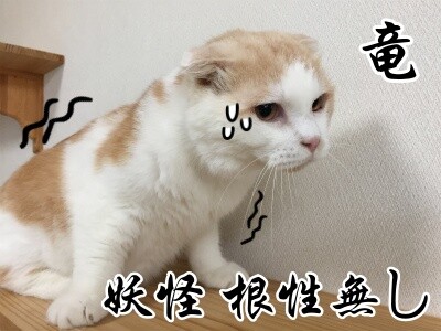 竜22