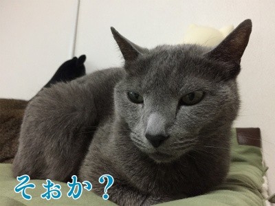 京277
