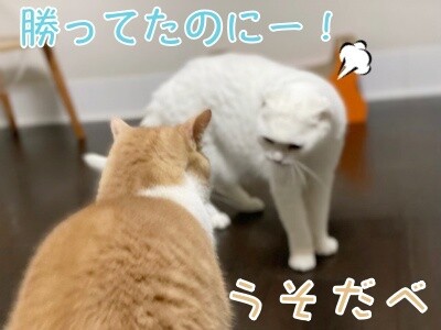 みんな2722
