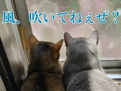 みんな2087