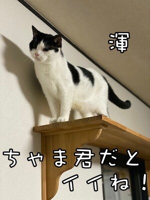 渾300