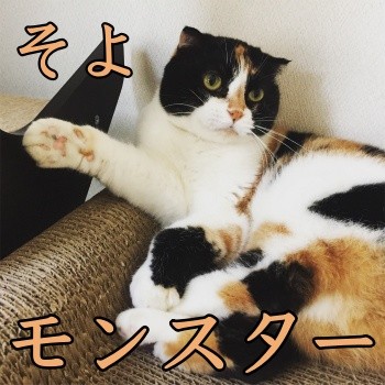 みんな1294