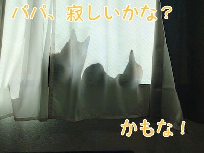 魚卵452