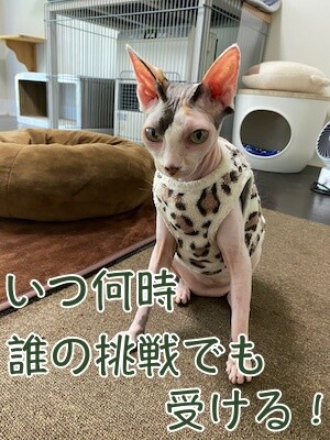 じゅり85