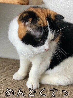 いよ92