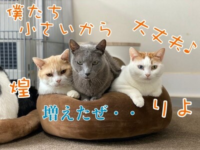 みんな609