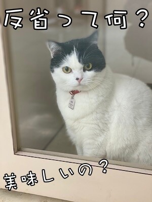 珠若143