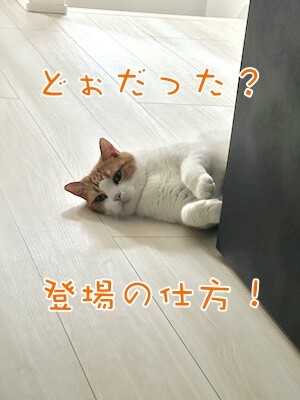 ベルビル235