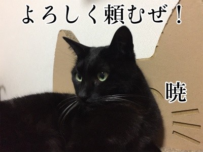 暁36
