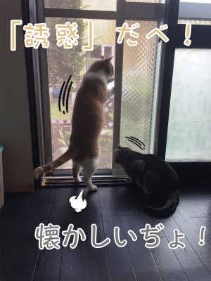 みんな1015