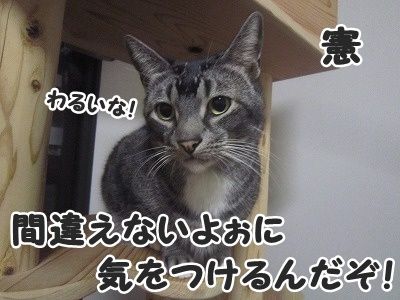 憲 (4)