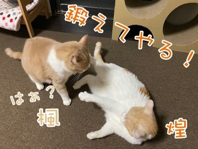 みんな2499