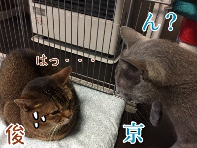 みんな673