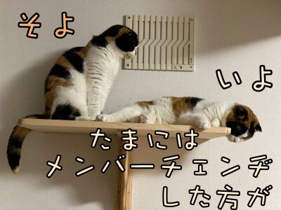 みんな2189