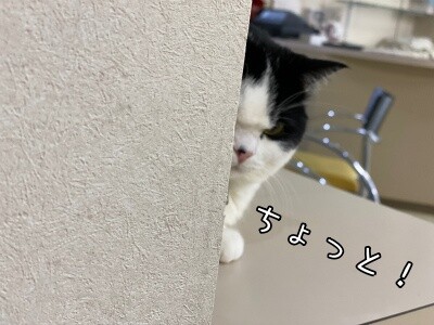 珠若822