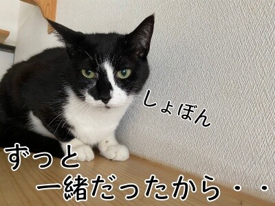 影5