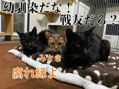 みんな1484