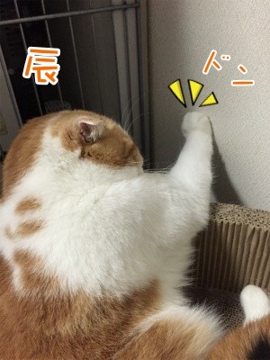 辰58