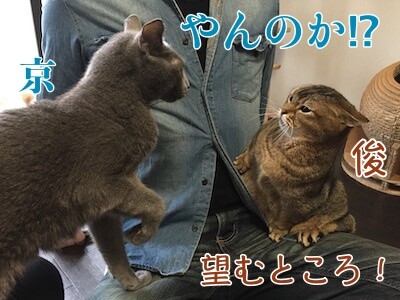 みんな2836