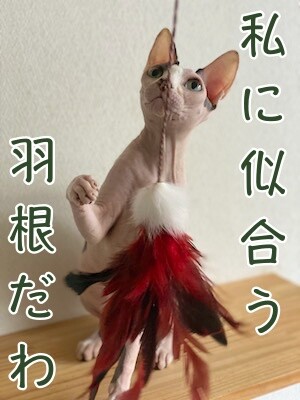 じゅり31