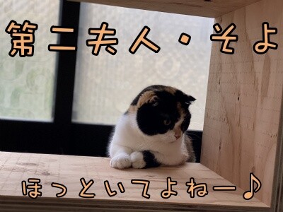 そよ164
