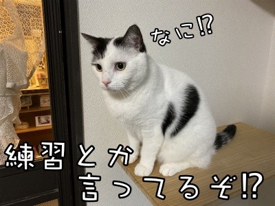 ココナッツ120